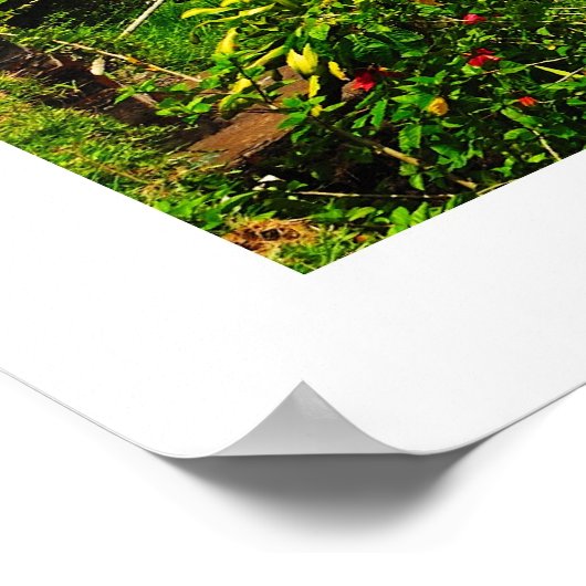 Tamblingan Poster (Ecke)