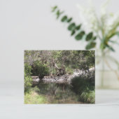 Tamborine #3 postkarte (Stehend Vorderseite)