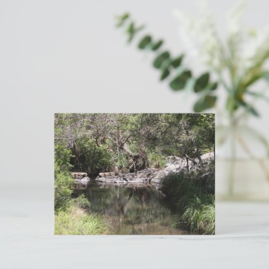 Tamborine #3 postkarte (Stehend Vorderseite)