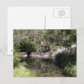 Tamborine #3 postkarte (Vorne/Hinten)