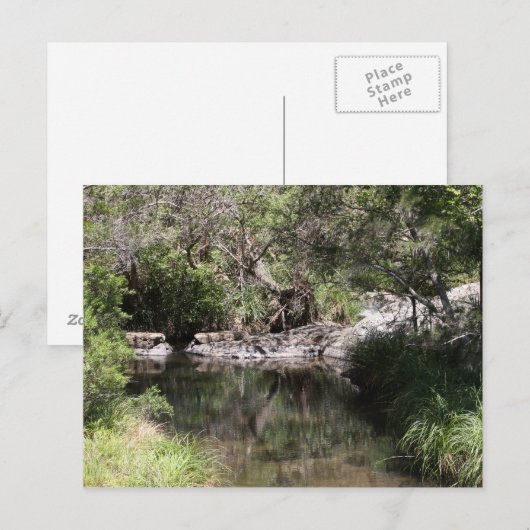 Tamborine #3 postkarte (Vorne/Hinten)