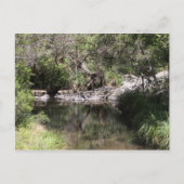 Tamborine #3 postkarte (Vorderseite)