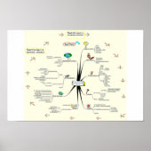 Tami Galt's Interventionsprozess Poster (Vorne)