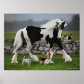 Tamlin & The Pups Poster (Vorne)