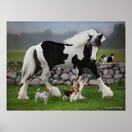 Tamlin & The Pups Poster (Vorne)