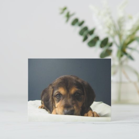 Tammy Postkarte (Stehend Vorderseite)