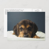 Tammy Postkarte (Vorne/Hinten)