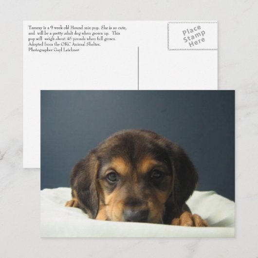 Tammy Postkarte (Vorne/Hinten)