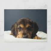 Tammy Postkarte (Vorderseite)