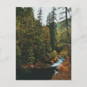 Tamolitch Falls ( Blue Pool) Feiertagspostkarte (Vorderseite)