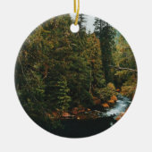 Tamolitch Falls ( Blue Pool) Keramik Ornament (Vorne)