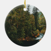 Tamolitch Falls ( Blue Pool) Keramik Ornament (Hinten)