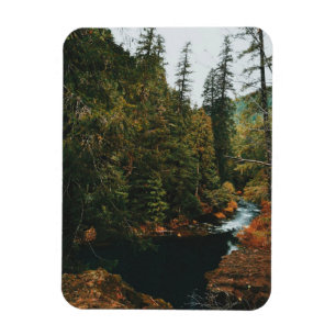 Tamolitch Falls ( Blue Pool) Magnet