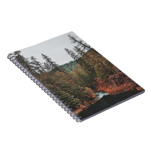 Tamolitch Falls ( Blue Pool) Notizblock (Rechte Seite)