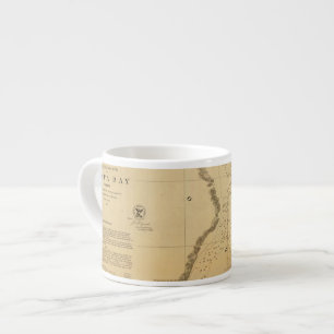 Tampa Bay 1855 Tasse