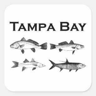 Tampa Bay Salzwasser-Fischen Quadratischer Aufkleber