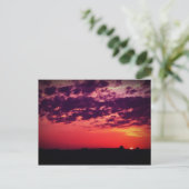 Tampa Bay Sunset Postkarte (Stehend Vorderseite)