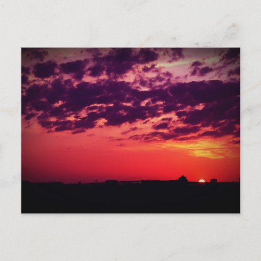 Tampa Bay Sunset Postkarte (Vorderseite)