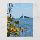 Tampa Bay Sunshine Skyway Bridge Fotografy Postkarte (Vorderseite)