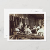 Tampa Cigar Boys, 1909 Postkarte (Vorne/Hinten)