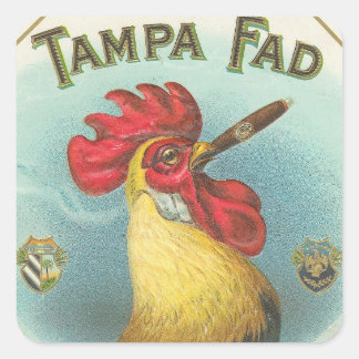 Tampa Fad Quadratischer Aufkleber