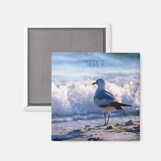Tampa, FL-Kühlschrankmagnet Magnet (Vorderseite/Rückseite)