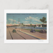 Tampa, FL - Sicht auf Bayshore Blvd, Brücke Postkarte (Vorderseite)