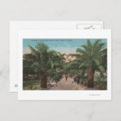 Tampa, FL - Sicht auf den Ballast Point Park Einga Postkarte (Vorne/Hinten)