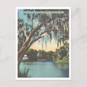 Tampa Florida Hillsborough River Schwefelquellen Postkarte
