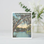 Tampa Florida Hillsborough River Sulfur Springs Postkarte (Stehend Vorderseite)