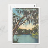 Tampa Florida Hillsborough River Sulfur Springs Postkarte (Vorne/Hinten)