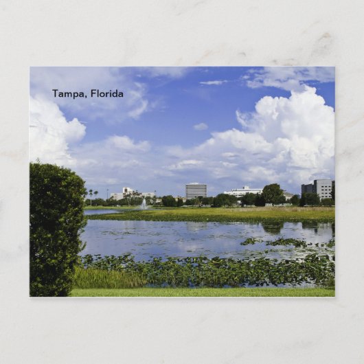 Tampa, Florida Postkarte (Vorderseite)