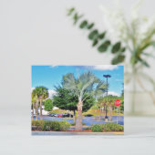 Tampa-Florida Postkarte (Stehend Vorderseite)