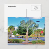 Tampa-Florida Postkarte (Vorne/Hinten)