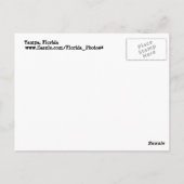 Tampa, Florida Postkarte (Rückseite)