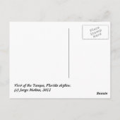 Tampa, Skyline von Florida Postkarte (Rückseite)