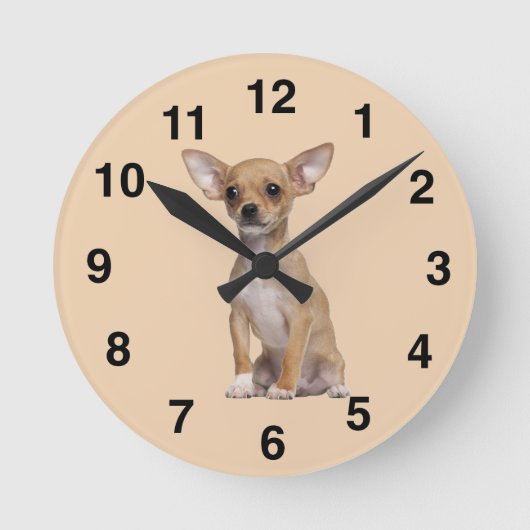 Tan and White Chihuahua Runde Wanduhr (Vorderseite)