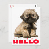 Tan & Black Shih Tzu Puppy Dog Red Hallo Herzen Postkarte (Vorne/Hinten)