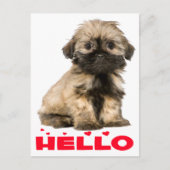 Tan & Black Shih Tzu Puppy Dog Red Hallo Herzen Postkarte (Vorderseite)