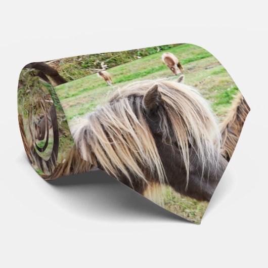 Tan Colored Shetland Pony, Krawatte (Gerollt)