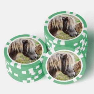 Tan Colored Shetland Pony, Pokerchips