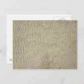 Tan Crocodile Leather Pattern Postkarte (Vorne/Hinten)