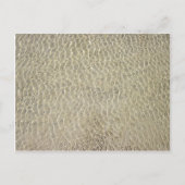 Tan Crocodile Leather Pattern Postkarte (Vorderseite)