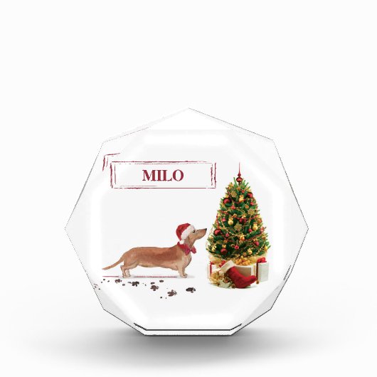 Tan Dackel Funny Christmas Dog mit Baum Fotoblock (Vorderseite)