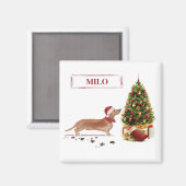 Tan Dackel Funny Christmas Dog mit Baum Magnet (Vorderseite/Rückseite)