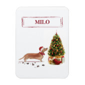 Tan Dackel Funny Christmas Dog mit Baum Magnet (Vertikal)