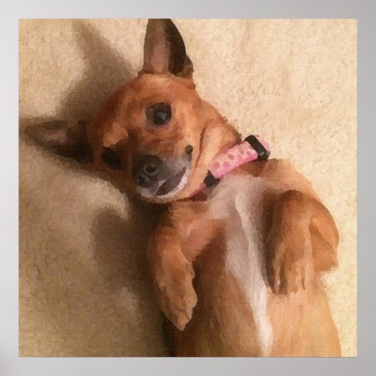 Tan Dackel Welpe Dog Bly Pose Poster (Vorne)