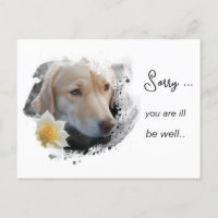 *~ Tan Dog AP61 Gute Besserung Traurige Blume
