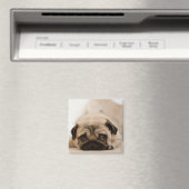 Tan Female Mops Magnet (In Situ (Geschirrspüler))