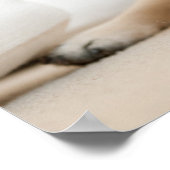 Tan Female Mops Poster (Ecke)